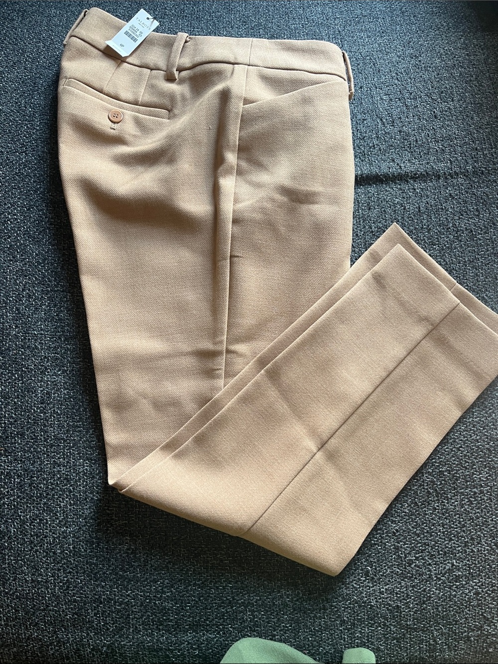 Tailored Dress Pants in Beige